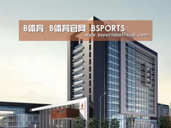B体育案例展示四