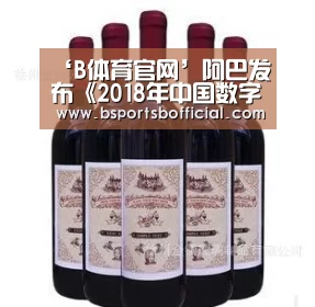 ‘B体育官网’阿巴发布《2018年中国数字经济发展报告》新零售让生活更便捷 ...(图3) B体育官网