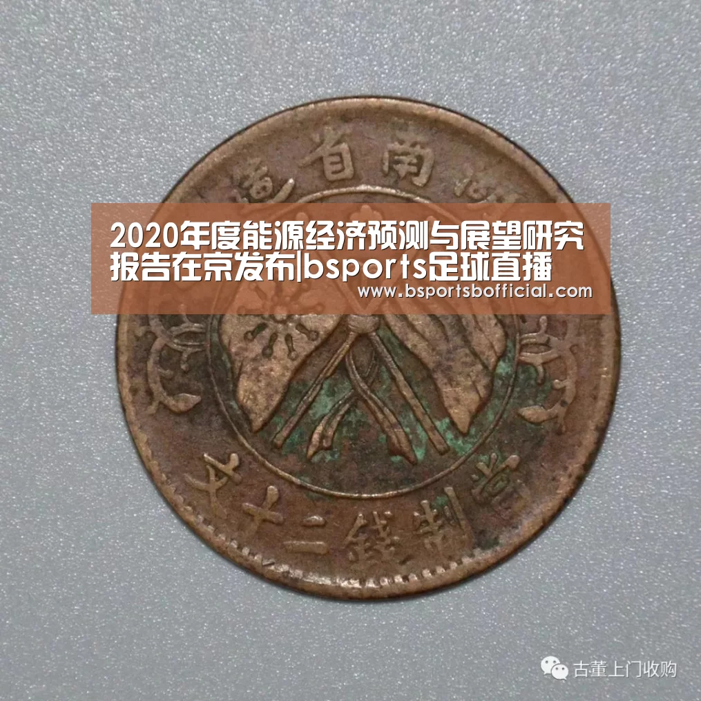 2020年度能源经济预测与展望研究报告在京发布|bsports足球直播(图1) B体育官网