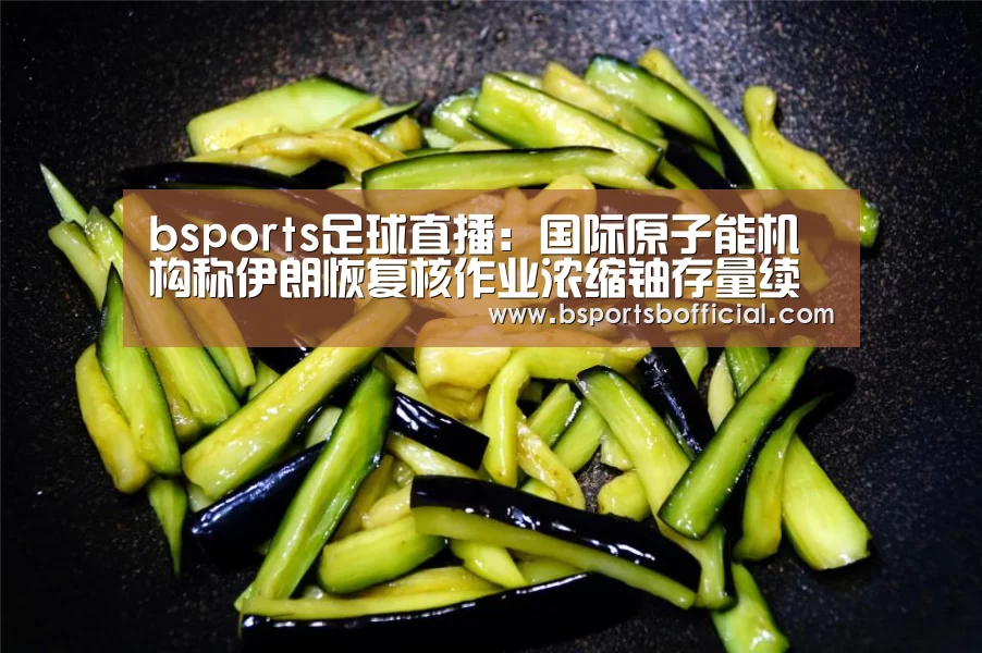 bsports足球直播:国际原子能机构称伊朗恢复核作业浓缩铀存量续增(图3) bsports足球直播:国际原子能机构称伊朗恢复核作业浓缩铀存量续增(图3)