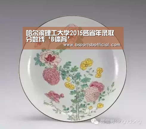 哈尔滨理工大学2015各省年录取分数线‘B体育’(图1)